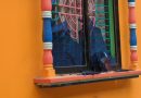 মুন্সীগঞ্জে দুর্বৃত্তদের হামলা ঘরবাড়ি ভাংচুর-লুটপাট, আহত-১